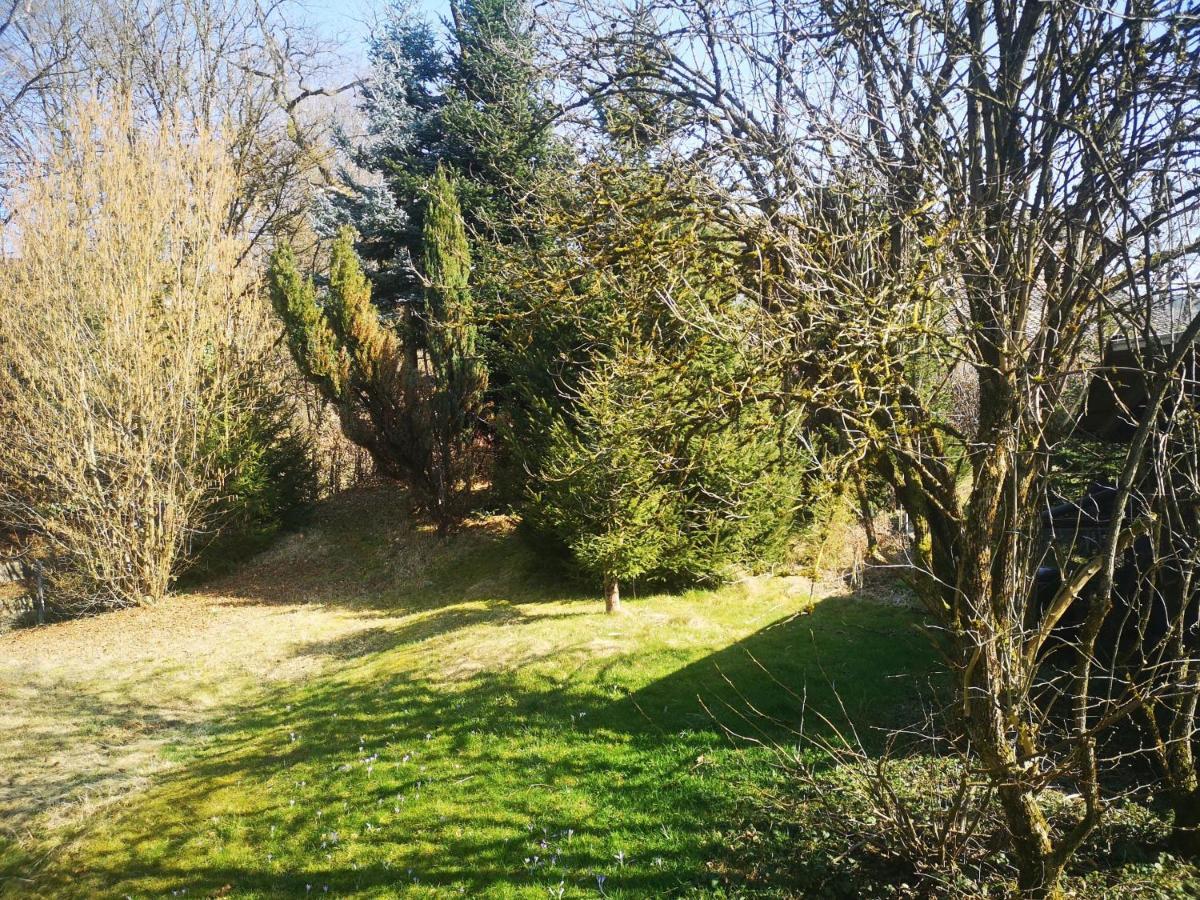 Ferienwohnung Dinkelbergblick Oeflingen Wehr  Bagian luar foto